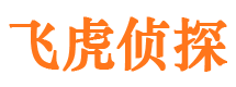 温宿侦探